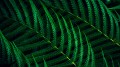 9648c119a0546b4681f66bfcb314664a